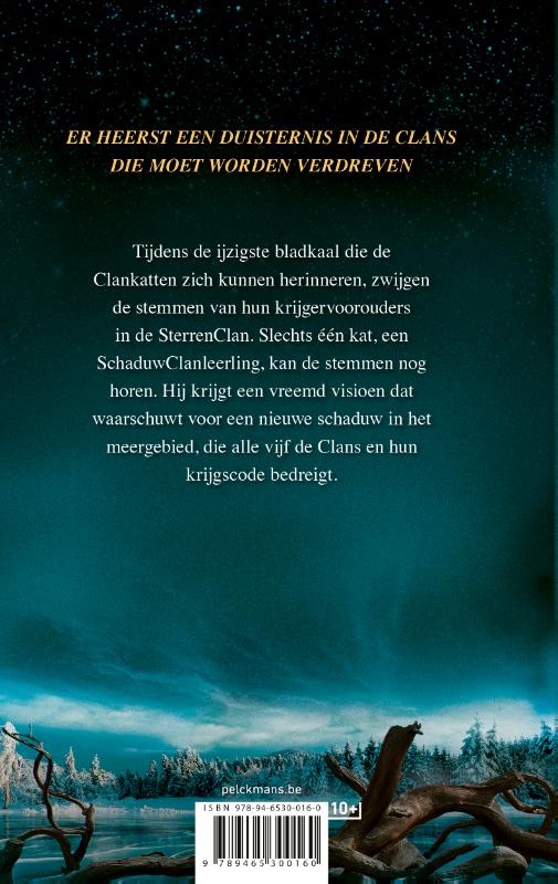 Achterkant van Serie 6 - Boek 1 Verloren sterren