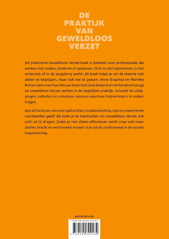 Achterkant van Krachtig werk: De praktijk van geweldloos verzet