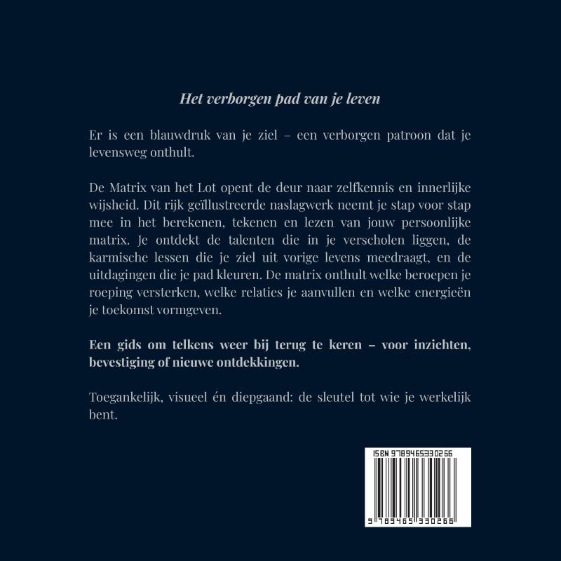 Achterkant van Matrix van het Lot