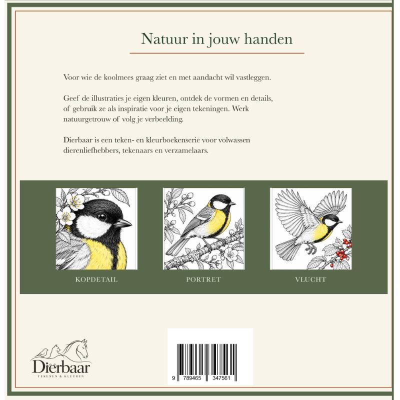 Achterkant van De koolmees