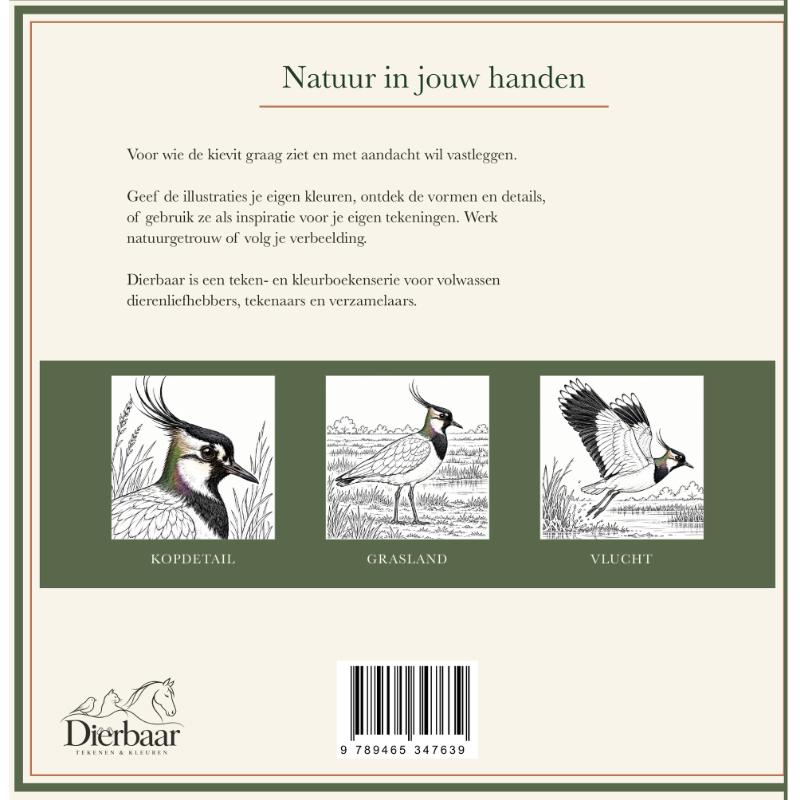 Achterkant van De kievit