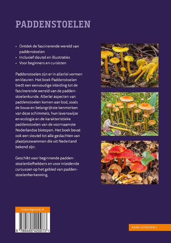 Achterkant van Paddenstoelen