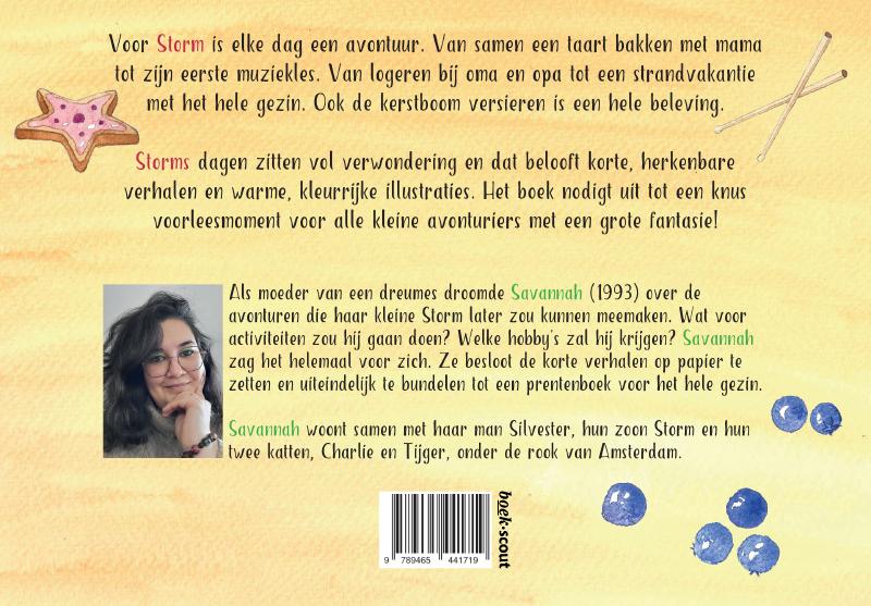 Achterkant van De avonturen van kleine Storm
