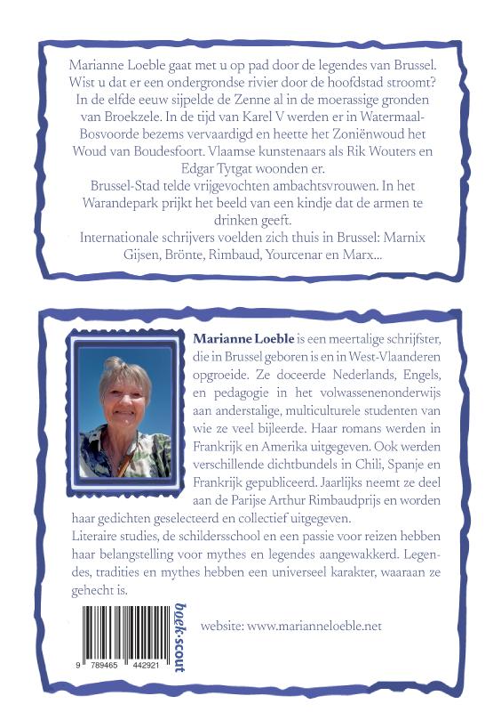 Achterkant van Brussel in vogelvlucht