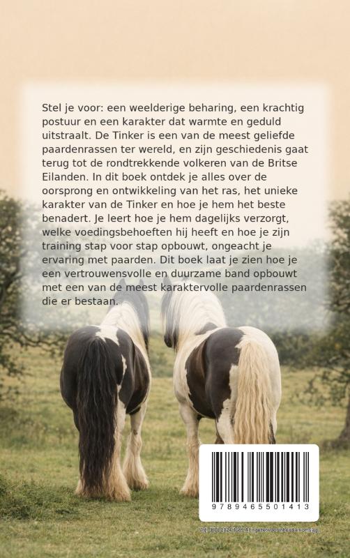 Achterkant van Alles over het Tinker