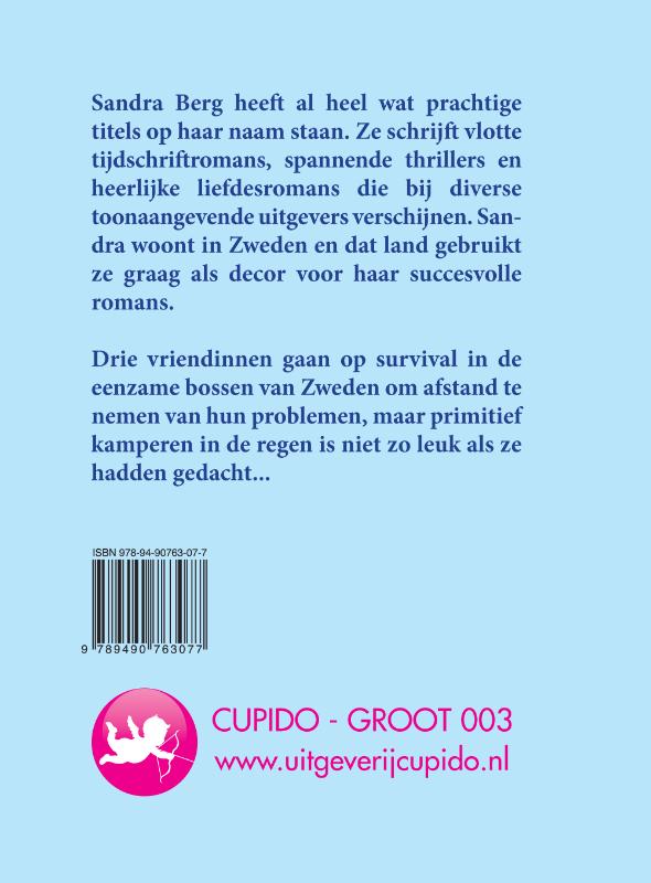 Achterkant van Reis naar het noorden