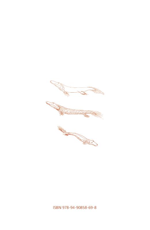 Achterkant van TIKTAALIK
