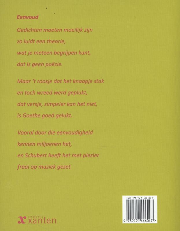 Achterkant van Er staat wat er staat