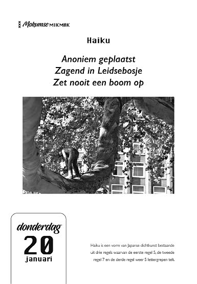 Achterkant van Mokumse Mikmak 2022