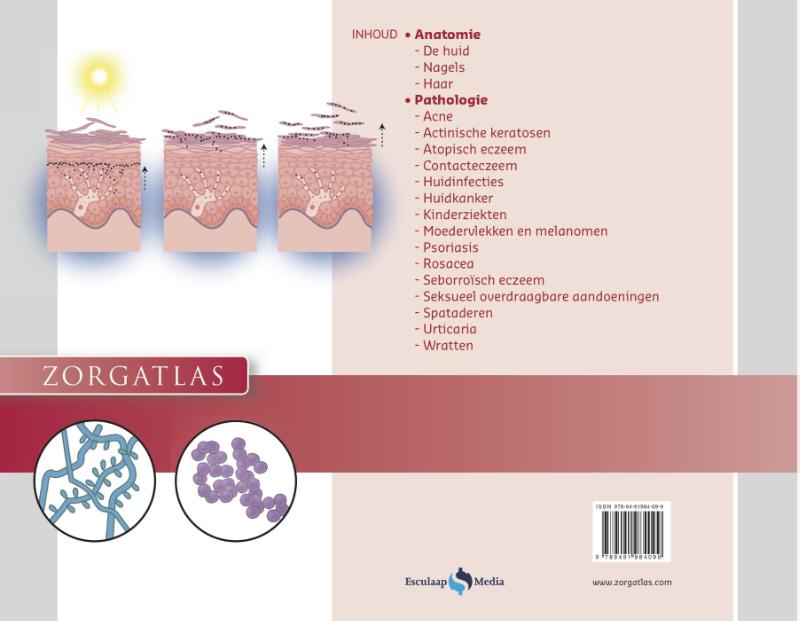 Achterkant van Dermatologie