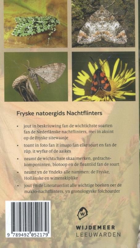 Achterkant van Nachtflinters