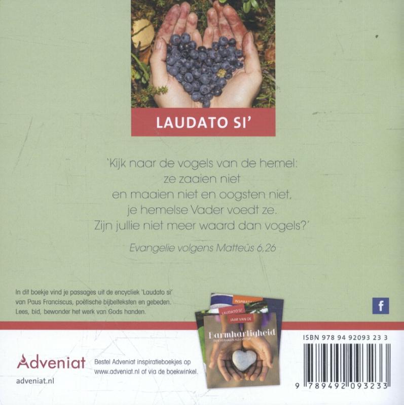 Achterkant van Schepping