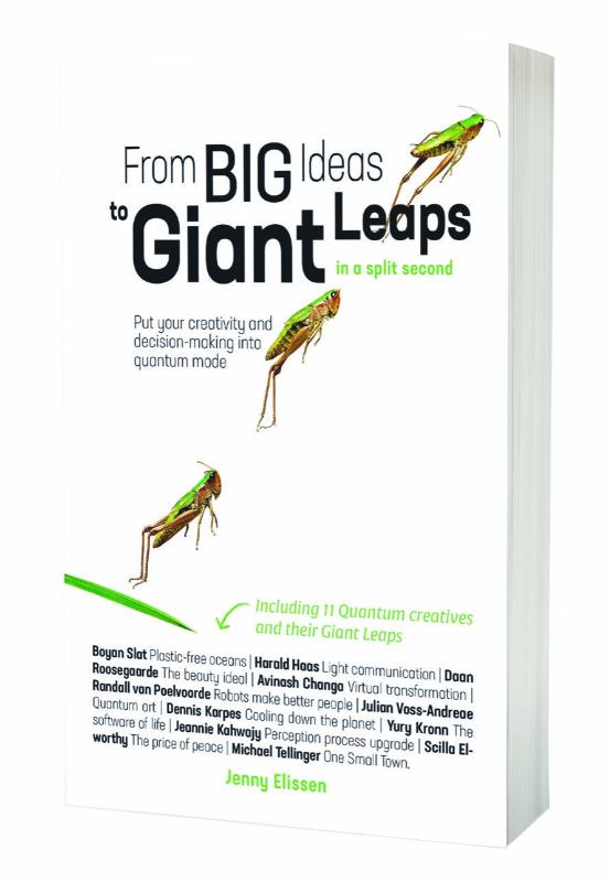 Achterkant van From Big Ideas to Giant Leaps in a split second