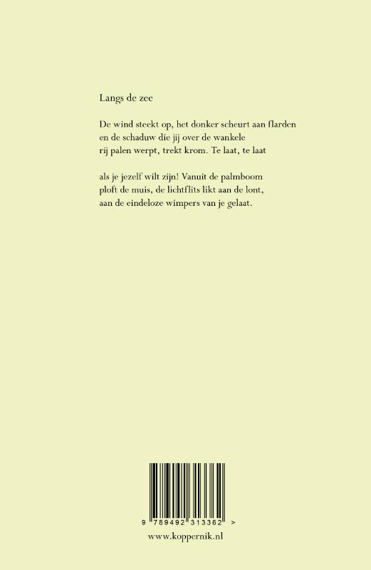 Achterkant van Finisterre