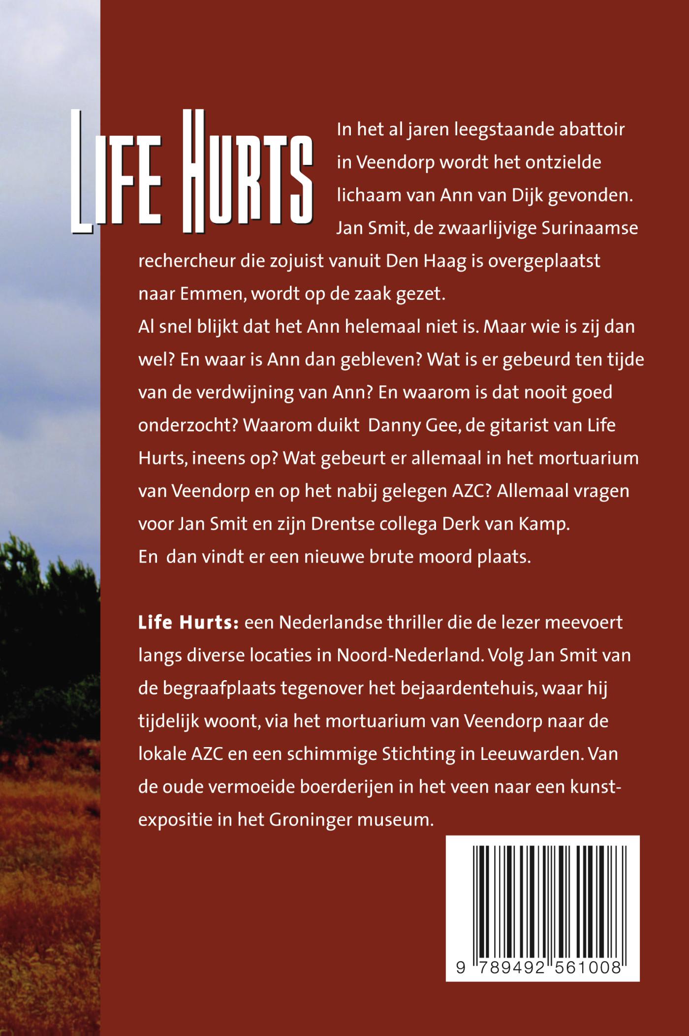 Achterkant van Life hurts