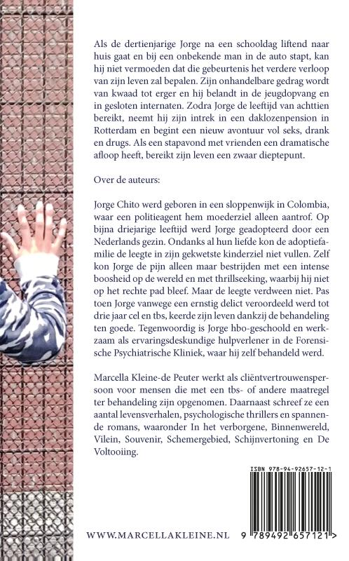 Achterkant van Drie jaar cel en tbs