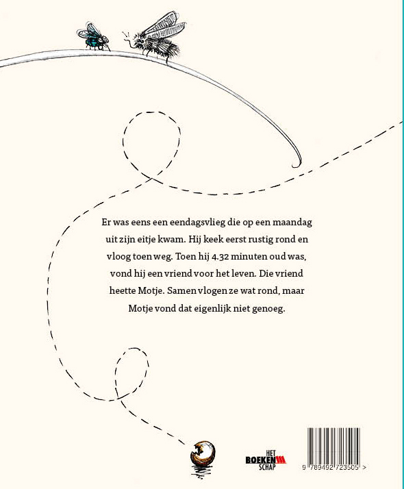 Achterkant van Een dag uit het leven van een eendagsvlieg