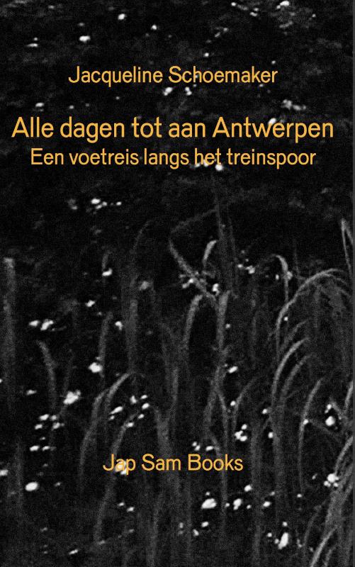 Achterkant van Every Day until antwerp/Alle dagen tot aan Antwerpen
