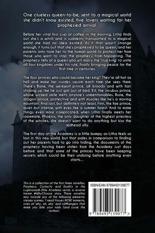 Achterkant van Fated Lovers