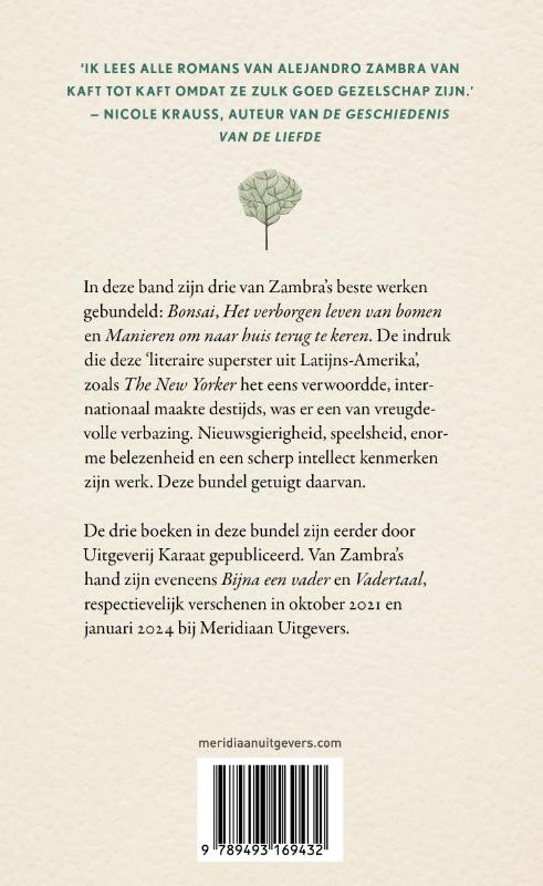 Achterkant van Bonsai