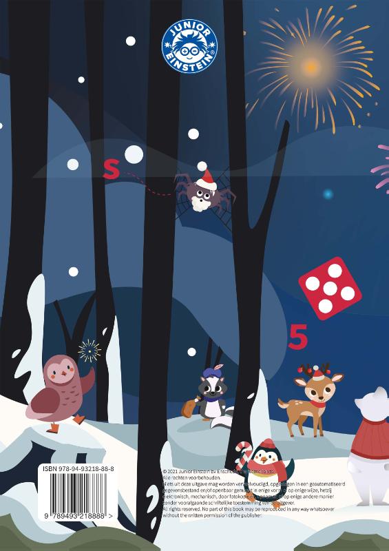 Achterkant van Het Grote Junior Einstein Decemberboek