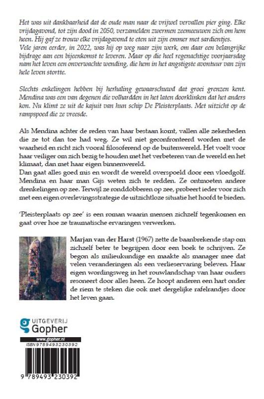 Achterkant van Pleisterplaats op zee
