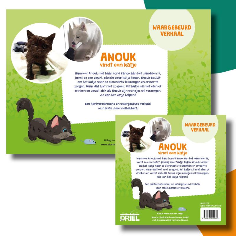 Achterkant van Anouk vindt een katje kamishibai vertelplaten + boek