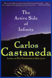 Omslag van The Active Side of Infinity