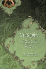 Omslag van Yinsights A Journey Into the Philosophy and Practice of Yin Yoga