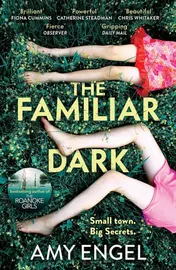 Omslag van The Familiar Dark