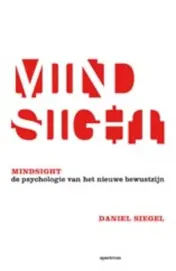 Omslag van Mindsight