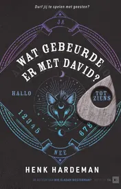 Omslag van Wat gebeurde er met David?
