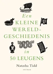 Omslag van Een kleine wereldgeschiedenis in 50 leugens
