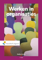 Omslag van Werken in organisaties