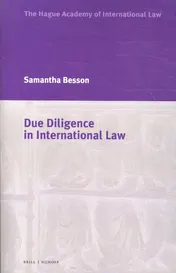 Omslag van Due Diligence in International Law