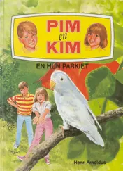 Omslag van Pim en Kim en hun parkiet