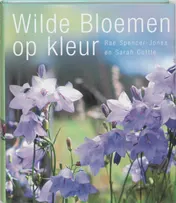 Omslag van Wilde bloemen op kleur