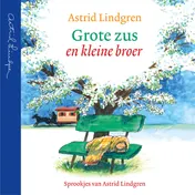 Omslag van Grote zus en kleine broer