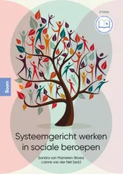 Omslag van Systeemgericht werken in sociale beroepen