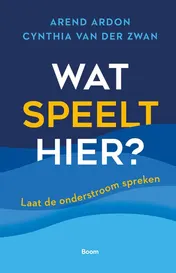 Omslag van Wat speelt hier?