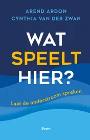 Omslag van Wat speelt hier?