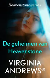 Omslag van De geheimen van Heavenstone