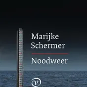 Omslag van Noodweer
