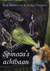 Omslag van Spinoza's achtbaan