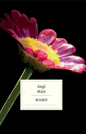 Omslag van Mamo