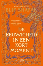 Omslag van De eeuwigheid in een kort moment