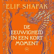 Omslag van De eeuwigheid in een kort moment