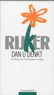 Omslag van Rijker dan u denkt
