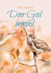 Omslag van Door God bemind