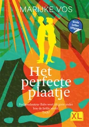 Omslag van Het perfecte plaatje - Grote Letter Uitgave